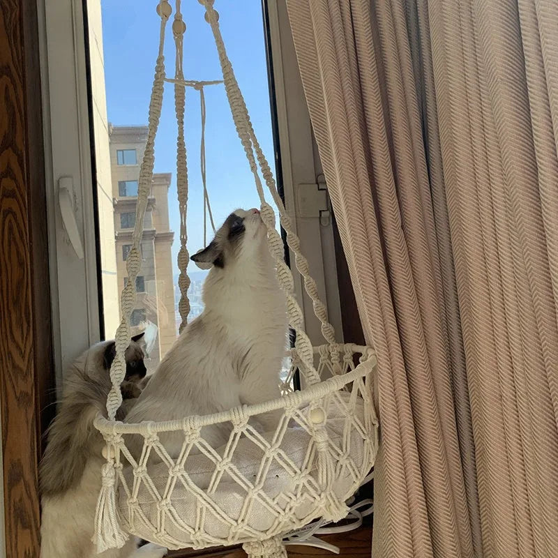 Pet Cat Hammock Cat Swing Hand Woven Cotton Rope Cats Hanging Basket Kitten Hanging String Den Indoor Pend Nest Pet Supplies