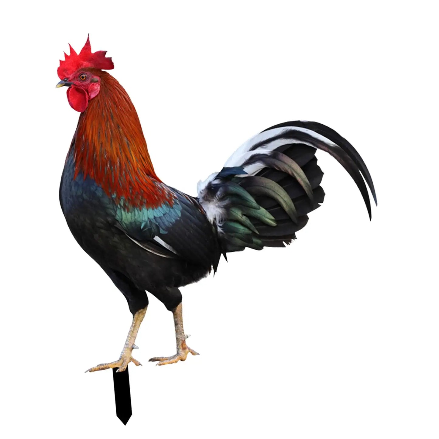 Rooster Animal Statue Stakes Sign Easter Decor Figures Chicken Sculpture Ornaments for Outdoor Courtyard Backyard Pathway Farm
