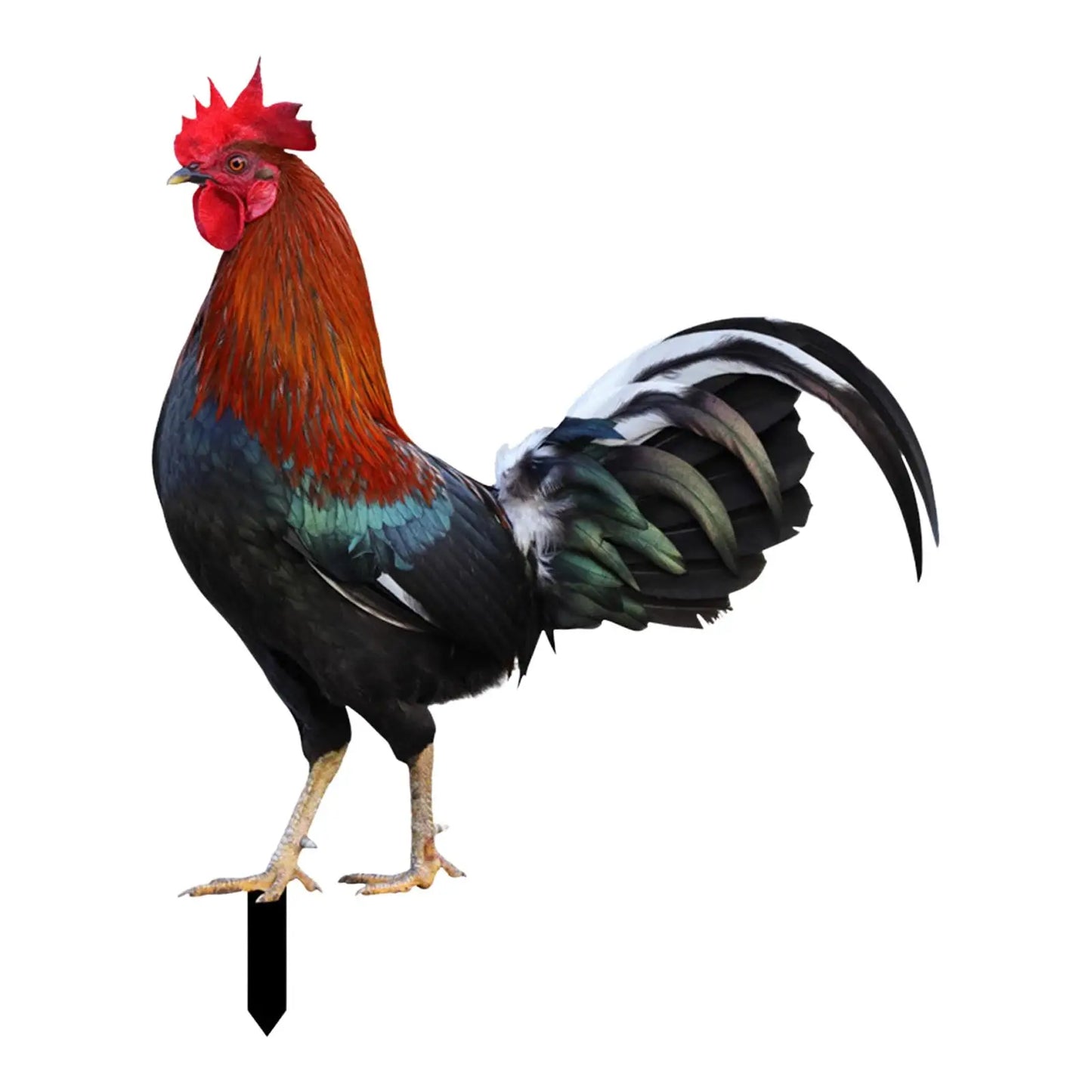 Rooster Animal Statue Stakes Sign Easter Decor Figures Chicken Sculpture Ornaments for Outdoor Courtyard Backyard Pathway Farm