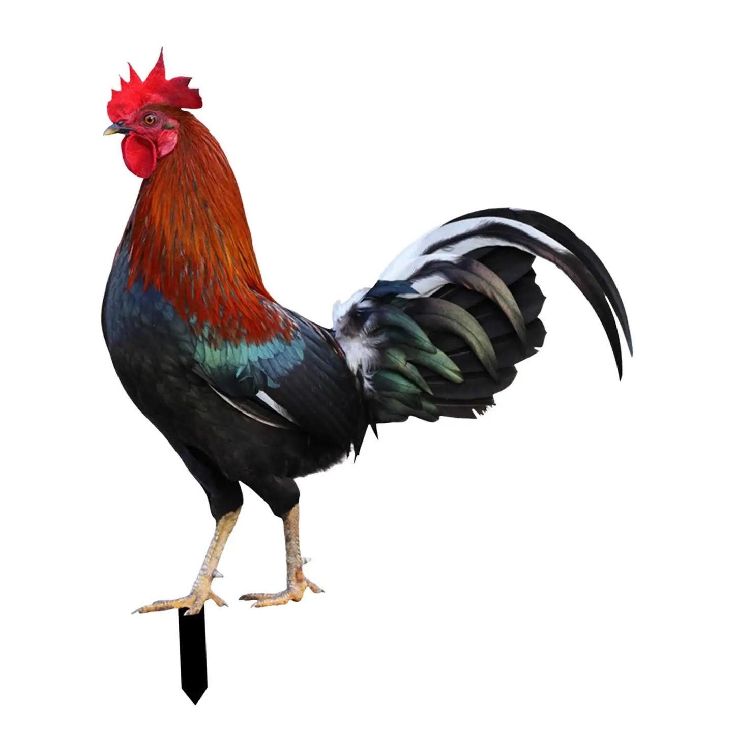 Rooster Animal Statue Stakes Sign Easter Decor Figures Chicken Sculpture Ornaments for Outdoor Courtyard Backyard Pathway Farm