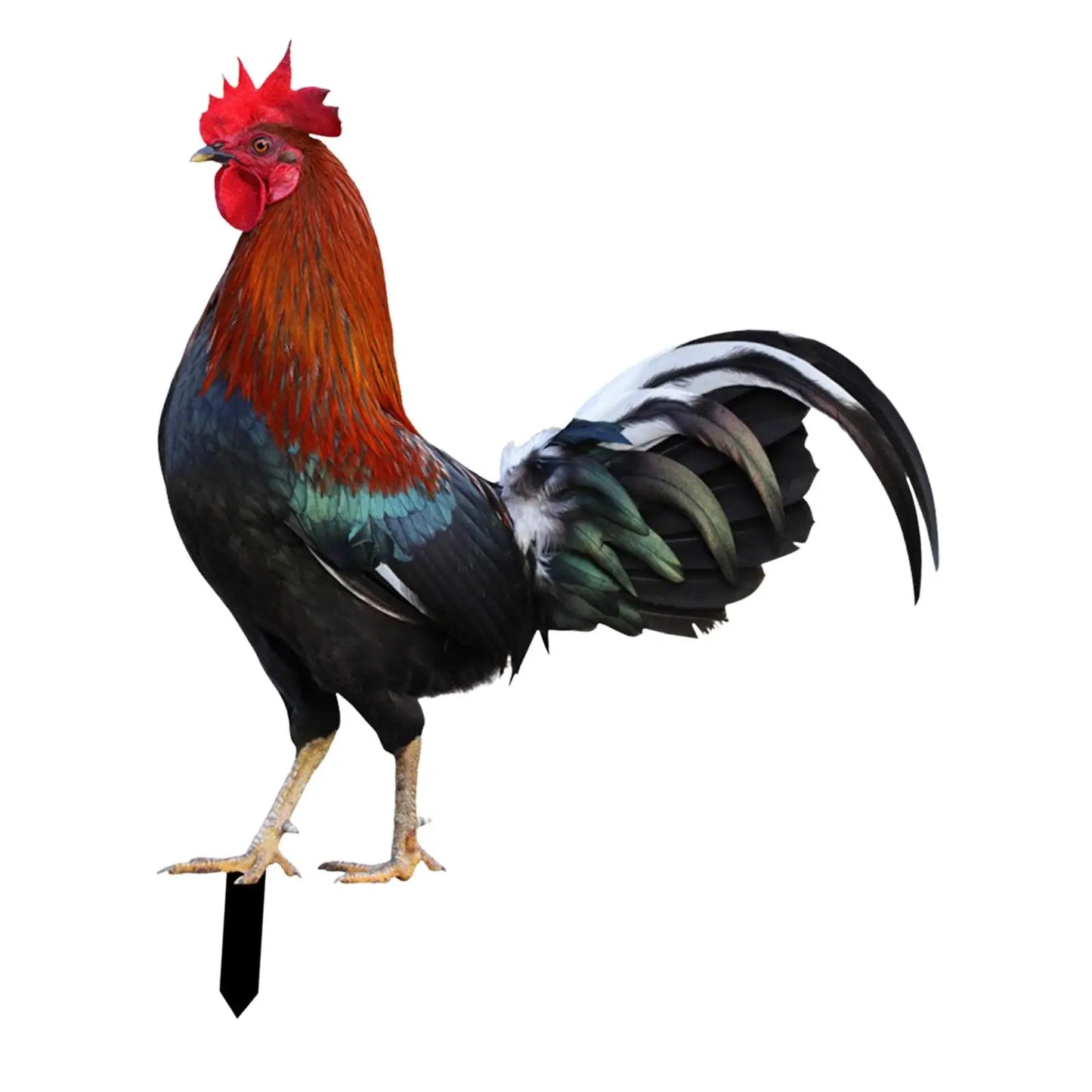 Rooster Animal Statue Stakes Sign Easter Decor Figures Chicken Sculpture Ornaments for Outdoor Courtyard Backyard Pathway Farm