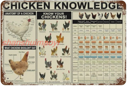 Chicken Knowledge Metal Tin Signs Vintage Know Your Chickens Poster Coop Farm Guide Plaque Wall Decor Farmhouse Classroom Kitche